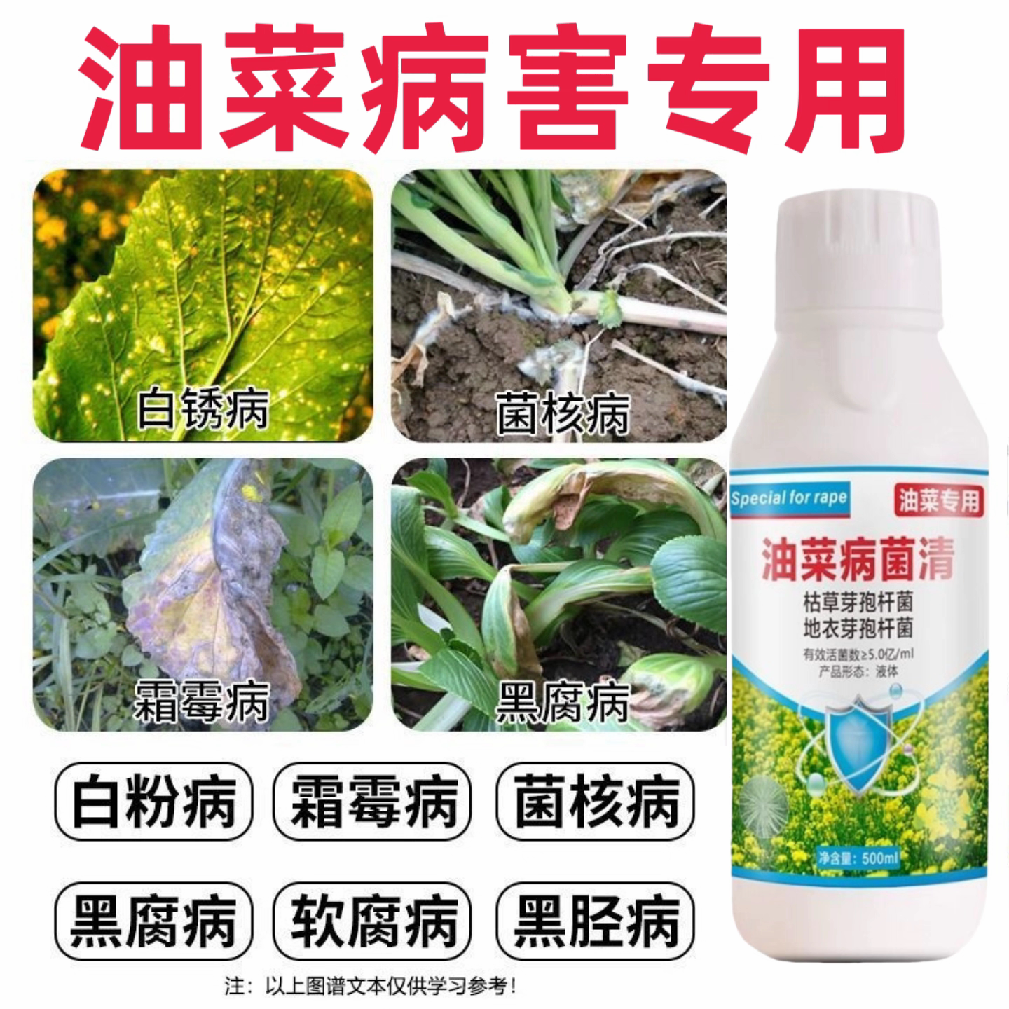 油菜病菌清油菜病害防治专用药叶斑病菌核霜霉猝倒根腐病晴天霹雳