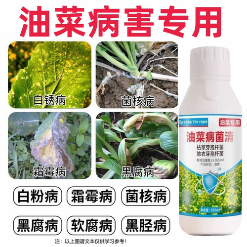 油菜病菌清油菜病害防治专用药叶斑病菌核霜霉猝倒根腐病晴天霹雳