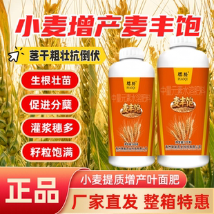 麦丰饱小麦生根壮苗补充营养促分蘖籽粒饱满抗倒伏抗寒冻抗旱骠骑