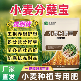 小麦分蘖宝冬小麦壮苗麦黄金生根壮苗抗旱防冻增产剂抗倒伏新农友
