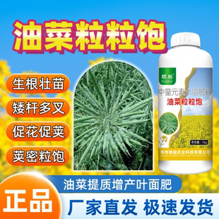 油菜粒粒饱油菜增产增油宝生根绿叶促进分蘖保花利荚提高出油骠骑
