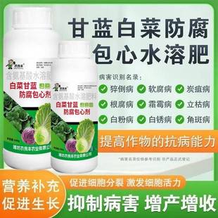 白菜防腐包心剂防腐药白菜甘蓝包菜花菜卷心菜软腐灵病菌清农良丰