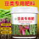 豆类肥料四季 豆荷兰豆豌豆营养型颗粒缓释肥芸豆扁豆壮根系有机肥
