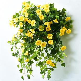 饰吊兰吊篮塑料花藤条墙壁挂花藤蔓植物造景 仿真牵牛花吊花假花装