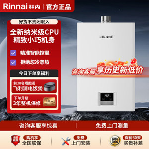 Rinnai/林内 JSQ31-GT11/RUS-16GT11家用恒温燃气热水器16升强排