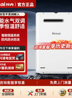 Rinnai/林内 JSW32-A1620W/1616W进口燃气热水器室外防冻恒温16升