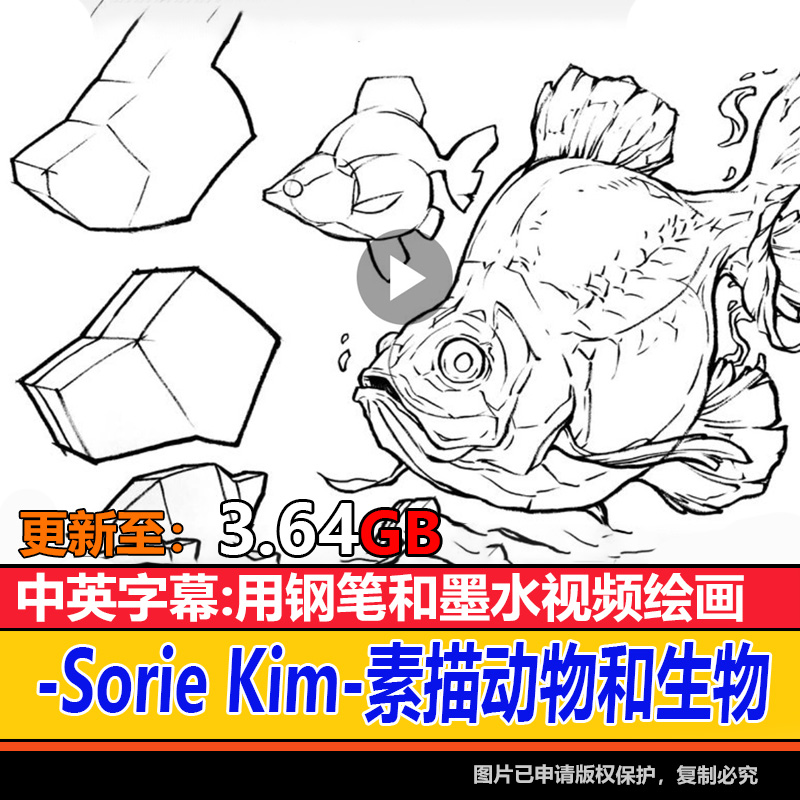 Sorie Kim 用钢笔和墨水素描动物和生物美术素描速写绘画视频素材