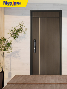 美心安全防盗门元素入户门进户门子母门别墅大门新中式单门8906