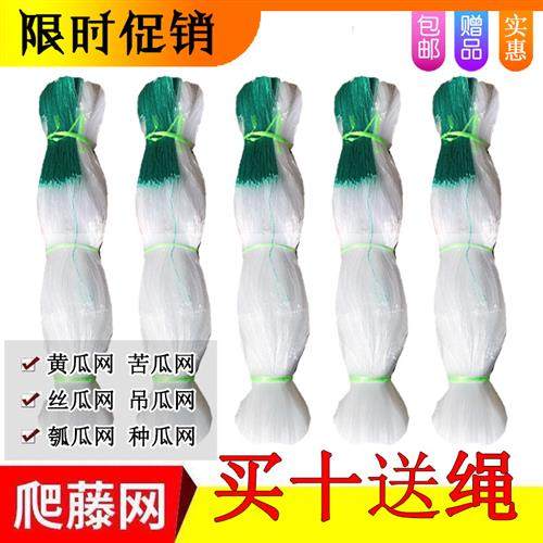 黄瓜苦瓜丝瓜吊瓜百香果瓜网植物爬藤网种植网攀爬网