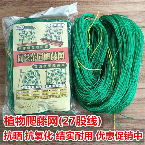 爬藤网花卉黄金葛藤蔓植物攀爬网搭架网百香果蔬菜爬藤架园艺种植