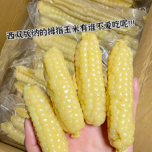 5斤 云南西双版纳拇指小玉米新鲜傣家香糯小手指迷你袖珍儿童玉米