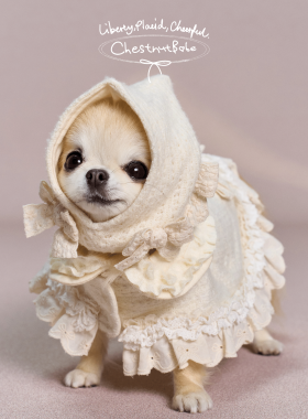 ChestnutBabe CloudyDays羊毛斗篷 原创秋冬狗狗可爱宠物保暖披风