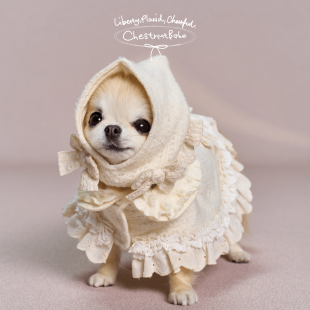 ChestnutBabe CloudyDays羊毛斗篷 原创秋冬狗狗可爱宠物保暖披风