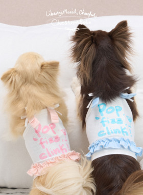 ChestnutBabe 凉凉衣 宠物狗衣服 夏天夏季小型犬凉感吊带 含冰袋