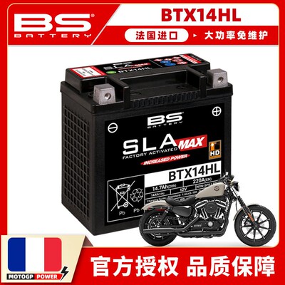法国BS进口电瓶适用哈雷8