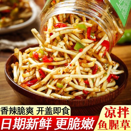 凉拌鱼腥草新鲜现挖折儿根剁椒凉拌折耳根辣椒酱鱼星草麻辣下饭菜