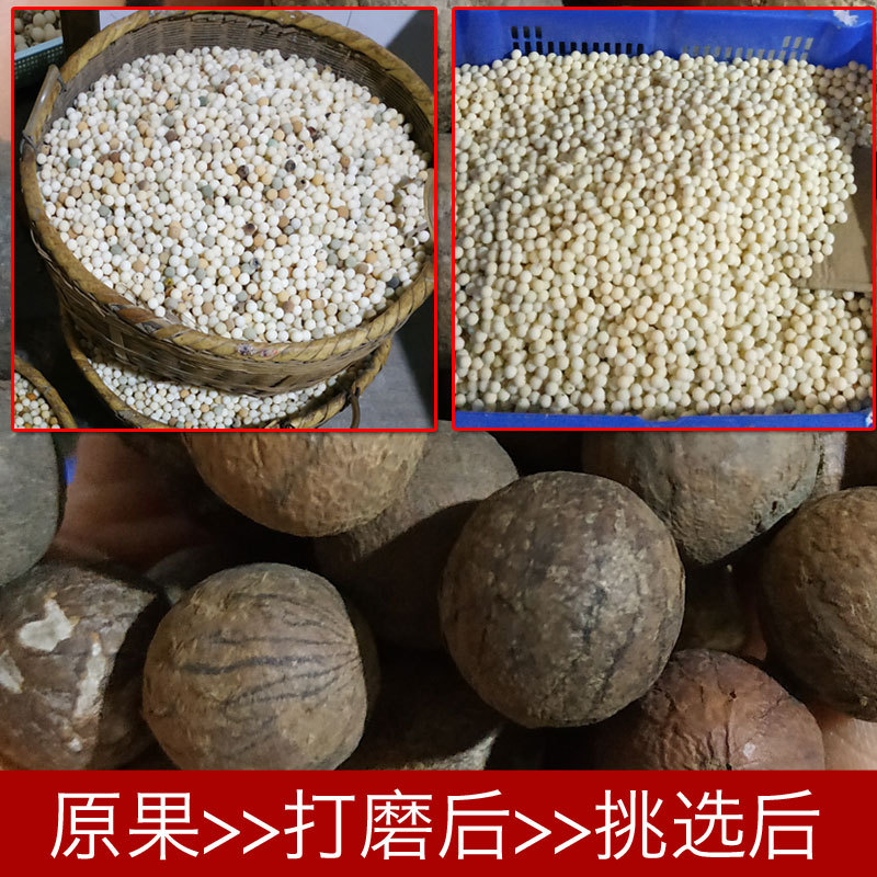菩提之乡中国海南厂家白玉菩提108颗佛珠念珠白菩提根原籽手串情