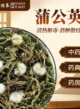 蒲公英中药饮片500g蒲公英散结茶蒲公英泡水喝新鲜蒲公英干草打粉