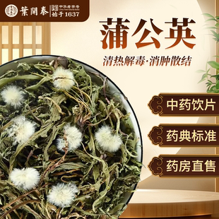 蒲公英中药饮片500g蒲公英散结茶蒲公英泡水喝新鲜蒲公英干草打粉