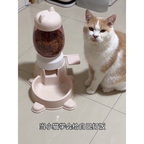 猫狗当家自己打饭小猫猫脚踏喂食器自动饮水机猫狗猫粮碗盆一体