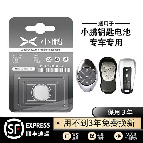 原装小鹏钥匙遥控器纽扣电池