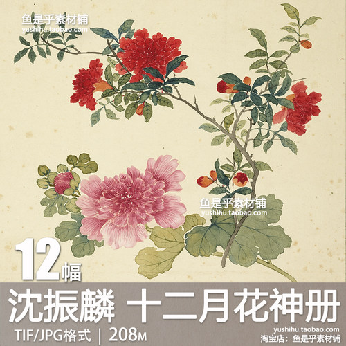 清 沈振麟 十二月花神册 国画工笔花卉参考临摹绘画电子素材图片