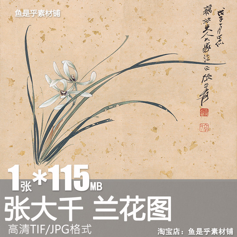 张大千兰花图国画名家字画植物花卉工笔花鸟画高清电子版素材图片