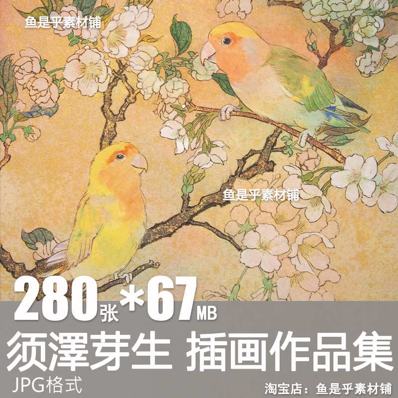 须澤芽生 日本插画师和风唯美梦幻人物艺术绘画临摹学习图片素材