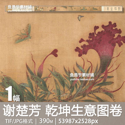 元代 谢楚芳 乾坤生意图卷国画花卉蔬菜草虫工笔花鸟电子图片素材