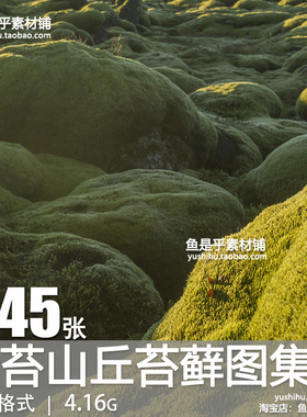 绿色草原荒野苔藓自然风景青苔山丘苔藓摄影图片背景壁纸电子素材