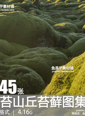 绿色草原荒野苔藓自然风景青苔山丘苔藓摄影图片背景壁纸电子素材