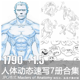 Masters of Anatomy人物动作动态速写图片动物表情素描绘画练习