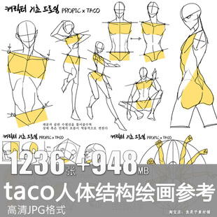 taco人体结构身体四肢比例手足头绘画自学临摹资料参考美术CG素材