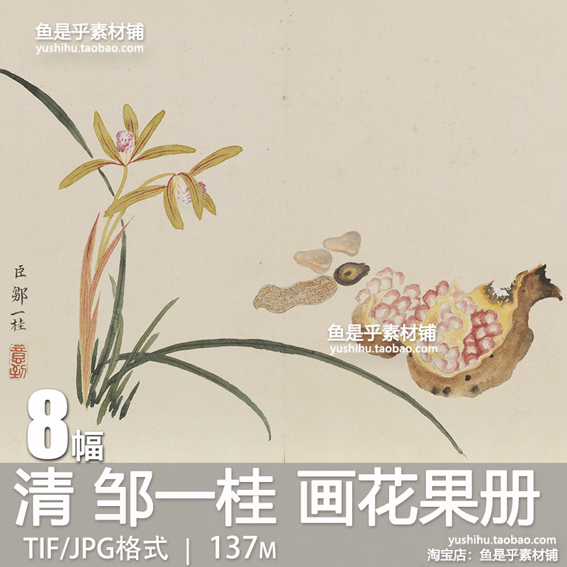 清邹一桂画花果册石榴佛手瓜果兰花绘画艺术参考临摹电子图片素材,商务/设计服务,设计素材/源文件,淘宝优惠券,粉丝福利购,淘宝优惠卷
