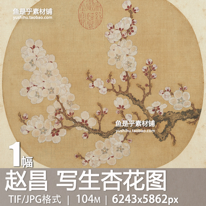 写生杏花图北宋赵昌花卉工笔写意花鸟画芯国画高清电子版图片素材