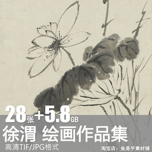 明徐渭绘画作品合集水墨葡萄杂荷花牡丹黄甲蟹鱼高清电子素材图片