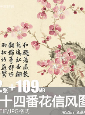 二十四番花信风图片画册董诰绘传统节气花卉工笔国画高清电子素材