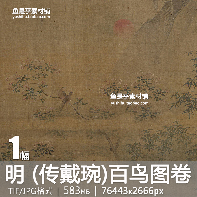 明 传戴琬 百鸟图卷 动物花鸟国画艺术参考临摹装饰电子图片素材图片