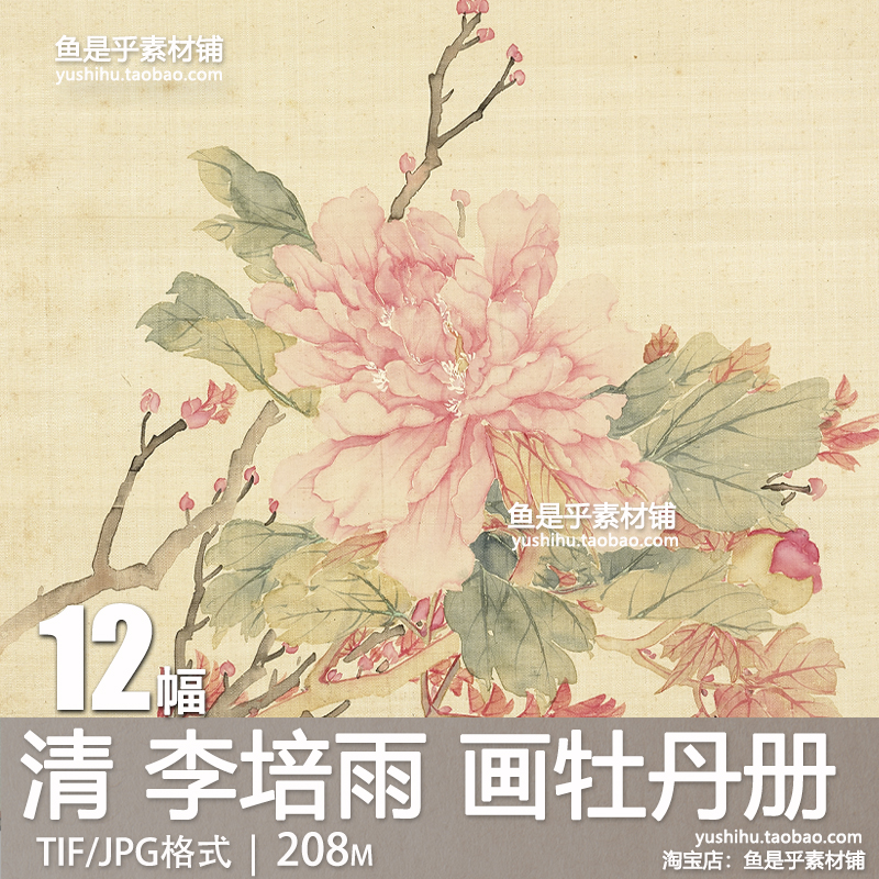 清 李培雨 画牡丹册 古代工笔花卉牡丹图谱国画参考电子图片素材
