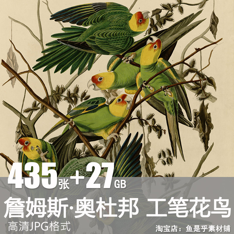约翰·詹姆斯·奥杜邦油画工笔花鸟植物鸟类动物图谱电子高清素材,商务/设计服务,设计素材/源文件,淘宝优惠券,粉丝福利购,淘宝优惠卷