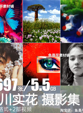 Mika Ninagawa蜷川实花 日本时尚色彩艺术女摄影师作品集图片素材