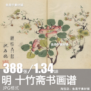 明代十竹斋书画谱梅兰竹石水果翎毛绘画临摹艺术高清电子图片素材