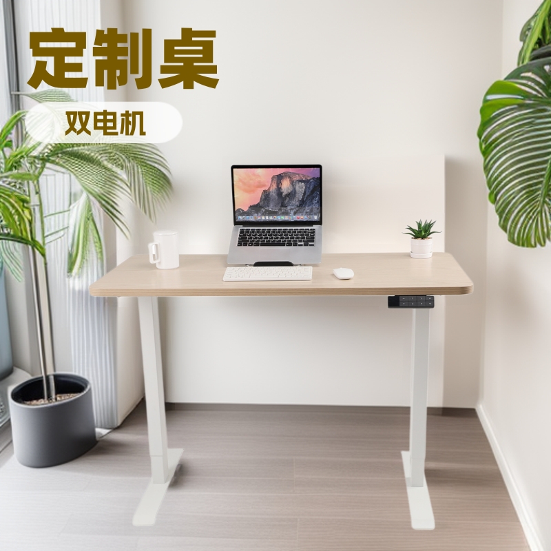 定制电动升降桌家用升降办公桌电竞桌子双电机两节可升降电脑桌腿