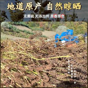 紫苏子东北大苏子种籽籽OVP生苏粒籽粒可打熟紫紫苏籽粉榨油烧烤
