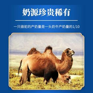 施圣益生菌驼奶蛋白质SLF粉驼乳清养大豆蛋白营粉复合蛋粉骆白奶