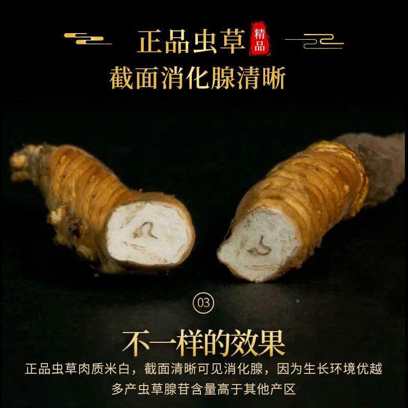 【价】野生虫草期正品甘孜藏族虫断草HNP礼盒非草特西藏那曲头青