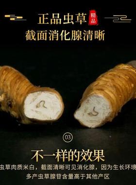 【价】野生虫草期正品甘孜藏族虫断草HNP礼盒非草特西藏那曲头青