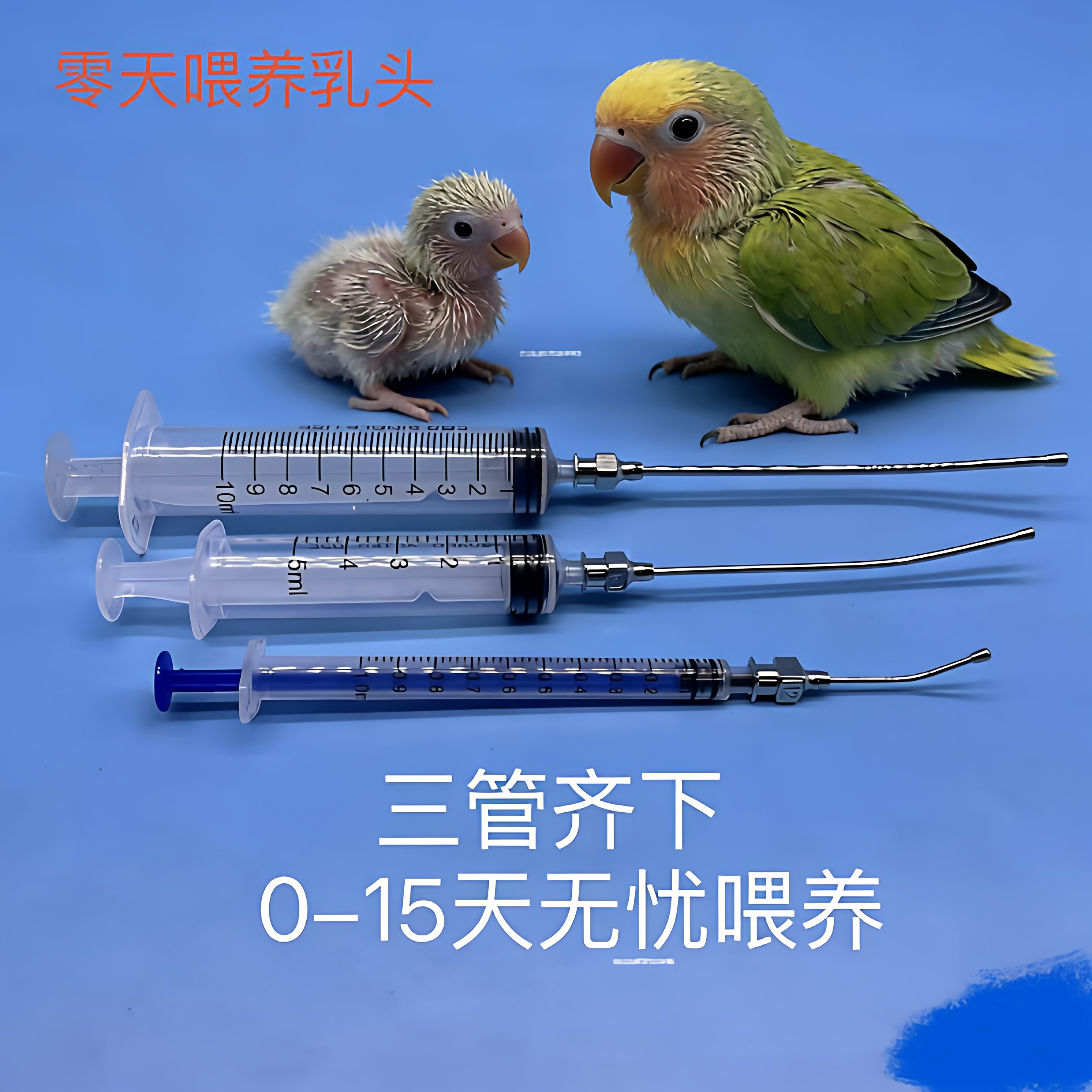 专业鹦鹉幼鸟喂食器手养鹦鹉喂奶器塑钢幼鸟螺旋口针筒不锈钢针头