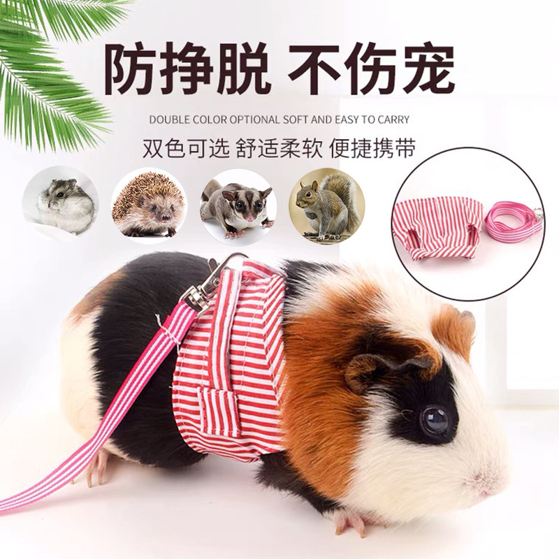 仓鼠外出牵引绳背心式荷兰猪松鼠龙猫侏儒兔小宠外出防逃防丢绳子