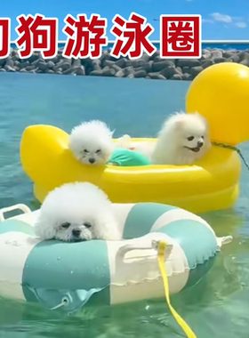 宠物游泳圈夏季户外水上玩具小型犬狗狗玩水专用救生圈漂浮充气床